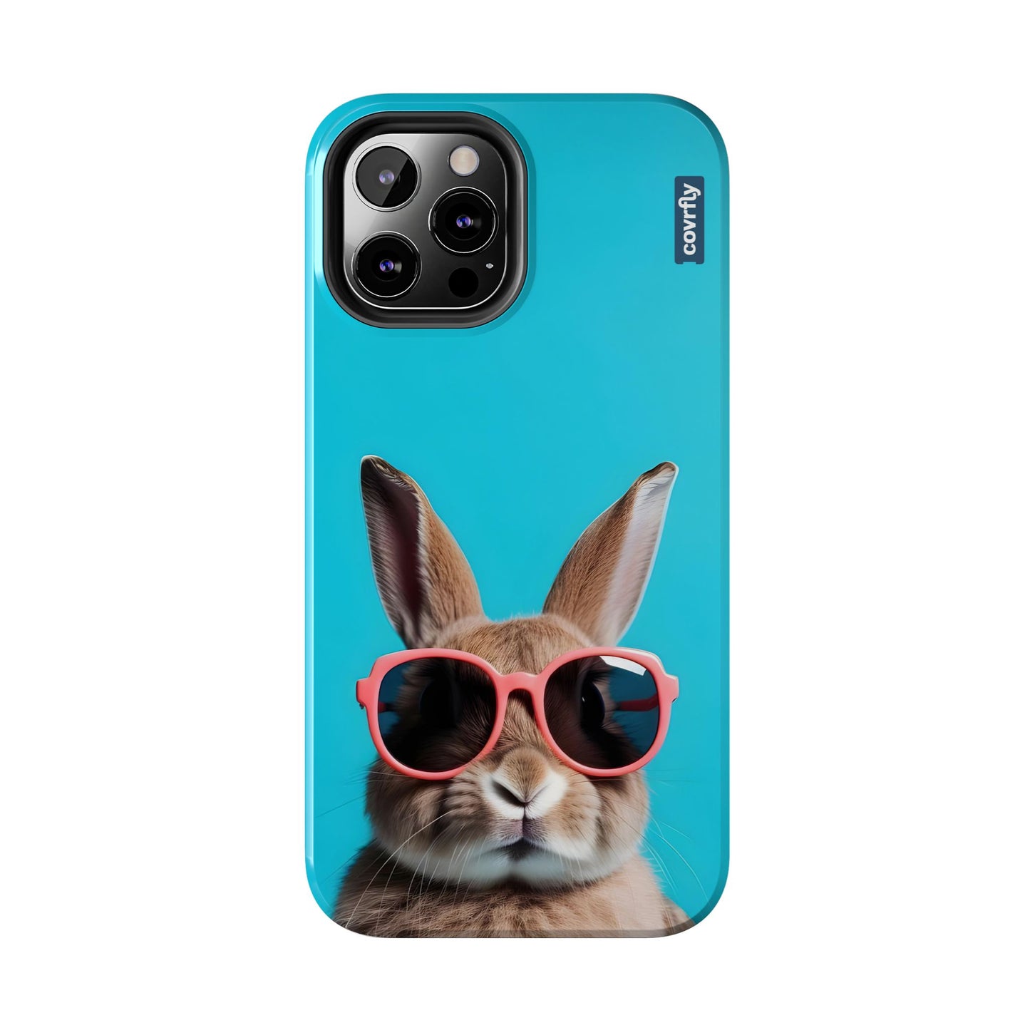 Cooler than your vacation