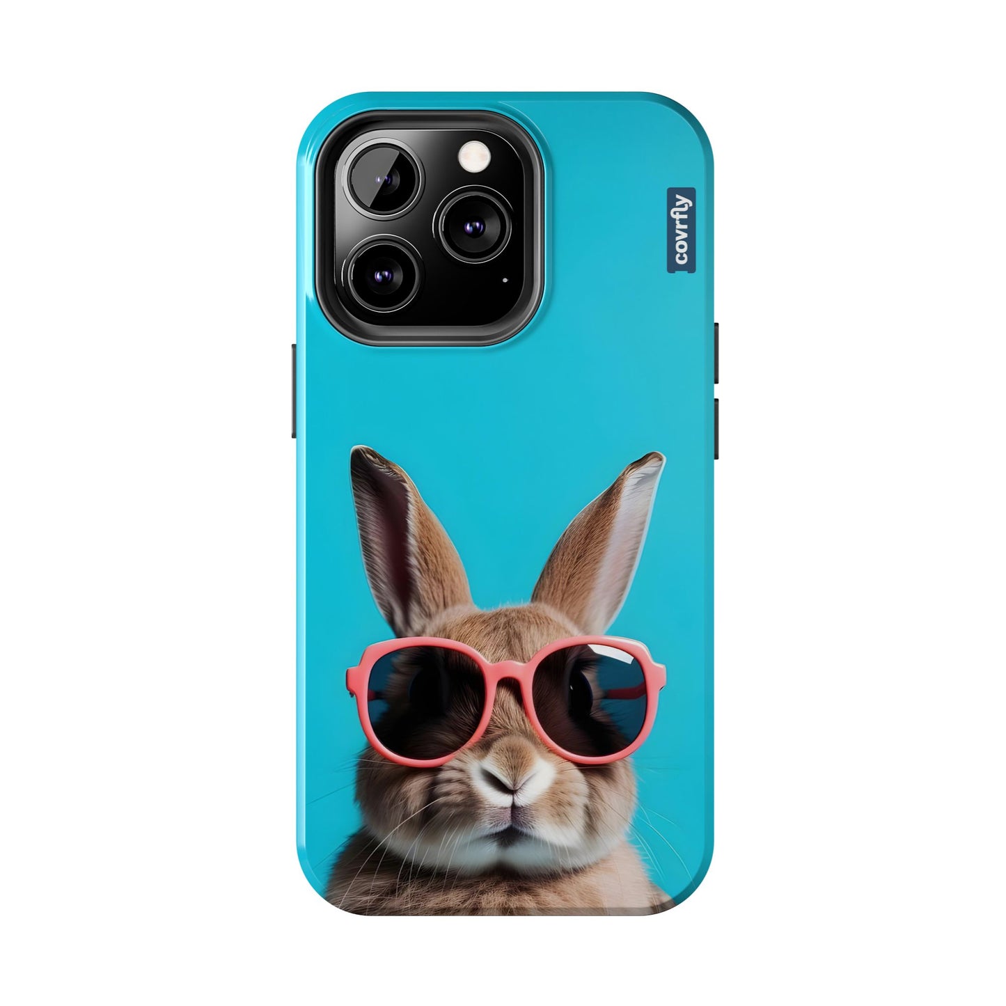 Cooler than your vacation