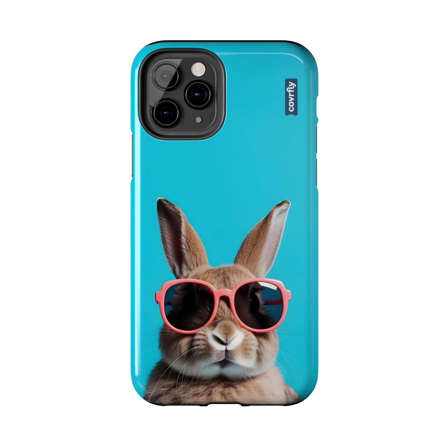 Cooler than your vacation