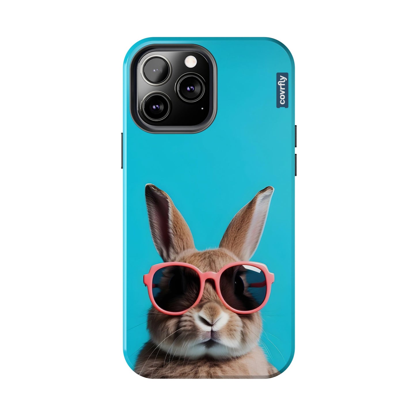 Cooler than your vacation